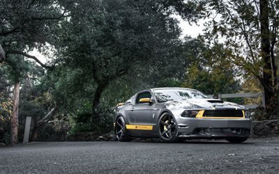 Ford Mustang, grigio Mustang, tuning Ford, linee gialle, foresta