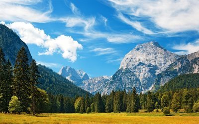 Alpeilla, vuoret, mets&#228;, 4K, niitty, sininen taivas, pilvet