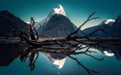 Milford Ses, bay, 5K, dağlar, kış, buz, Yeni Zelanda G&#246;nye Tepe