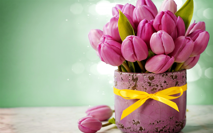 pink tulips, vases, bouquet, pink flowers, small tulips