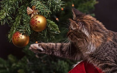 gray fluffy cat, Christmas tree, New Year, balls, cats, Christmas