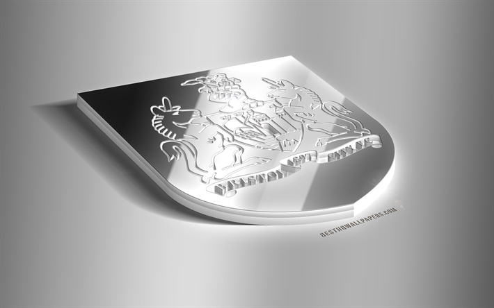 Bristol City FC, 3D de acero logotipo, club de f&#250;tbol ingl&#233;s, 3D emblema, Bristol, Inglaterra, reino unido, Bristol FC emblema de metal, Campeonato de f&#250;tbol, creativo, arte 3d
