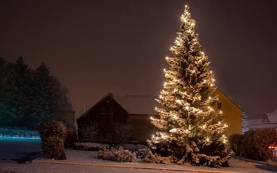 Christmas tree, street, winter, snow, winter evening, Christmas, light bulbs, garlands, New Year
