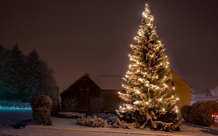 شجرة عيد الميلاد, الشارع, الشتاء, الثلوج, مساء الشتاء, عيد الميلاد, ضوء المصابيح, أكاليل, السنة الجديدة