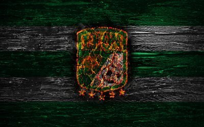 Leon FC, yangın logo, Lig MX, yeşil ve beyaz &#231;izgiler, Meksika Futbol Kul&#252;b&#252;, Lig, grunge, futbol, Club Leon, Club Leon logo, ahşap doku Meksika