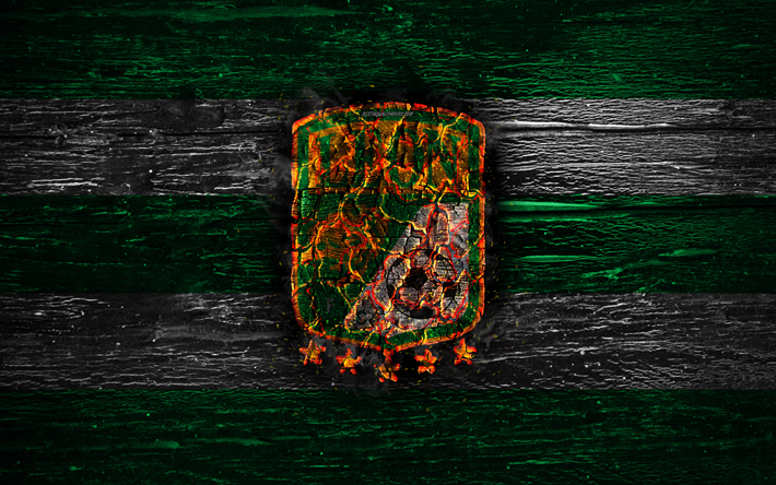 Leon  FC, fire logo, Liga MX, green and white lines, Mexican football club, Primera Division, grunge, football, Club Leon, soccer, Club Leon logo, wooden texture Mexiсo