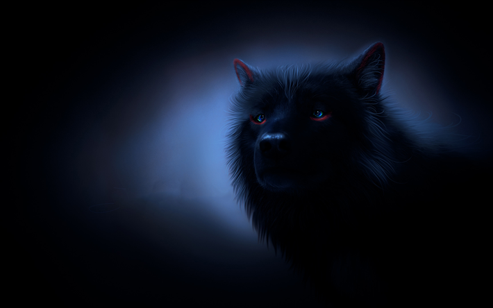 black wolf, darkness, wolf with blue eyes, fog, wildlife, fantastic wolf