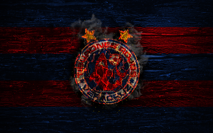 Veracruz FC, yangın logo, Lig MX, mavi ve kırmızı &#231;izgiler, Meksika Futbol Kul&#252;b&#252;, Lig, grunge, futbol, Veracruz logo, ahşap doku Meksika