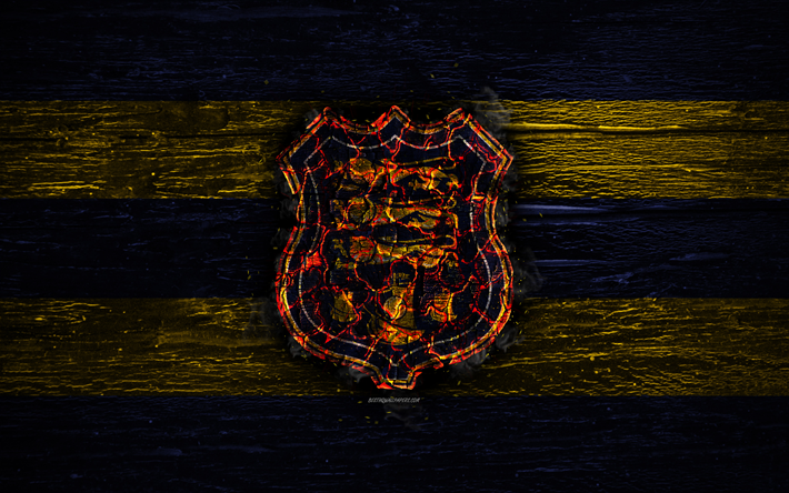 Waterford FC, fire logo, Ireland Premier Division, blue and yellow lines, Irish football club, grunge, football, soccer, Waterford logo, wooden texture, Ireland