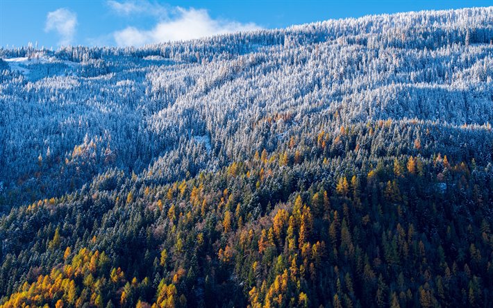 paisagem de montanha, inverno, neve, snowy &#225;rvores, c&#233;u azul, montanhas, esta&#231;&#245;es conceitos