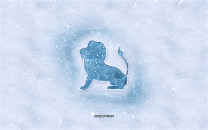 Leo horoskooppi, talvi k&#228;sitteit&#228;, lumen rakenne, lumi tausta, Leo-merkki, talven taidetta, Ipad