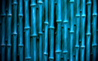 blue bamboo trunks, macro, bambusoideae sticks, bamboo textures, blue bamboo texture, bamboo canes, bamboo sticks, blue wooden background, vertical bamboo texture, bamboo