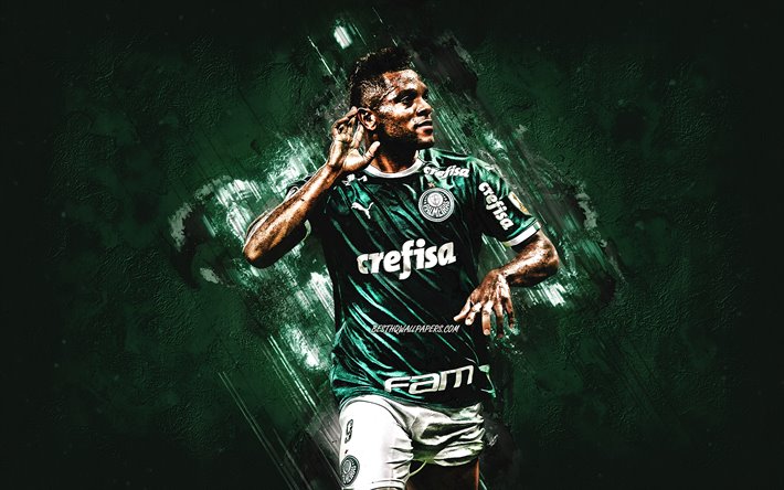 Miguel Borja, footballeur Colombien, SE Palmeiras, vert de la pierre de fond, football, Serie A, le Br&#233;sil, cr&#233;atif, fond vert, Palmeiras