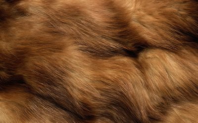 wavy fur texture, macro, animal fur, brown fur texture, wool textures, brown fur, brown fur backgrounds, close-up, brown backgrounds, brown wool texture, fur textures