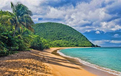 tropical island, Caribbean, palm trees, azure lagoon, summer, travel, waves, seascape