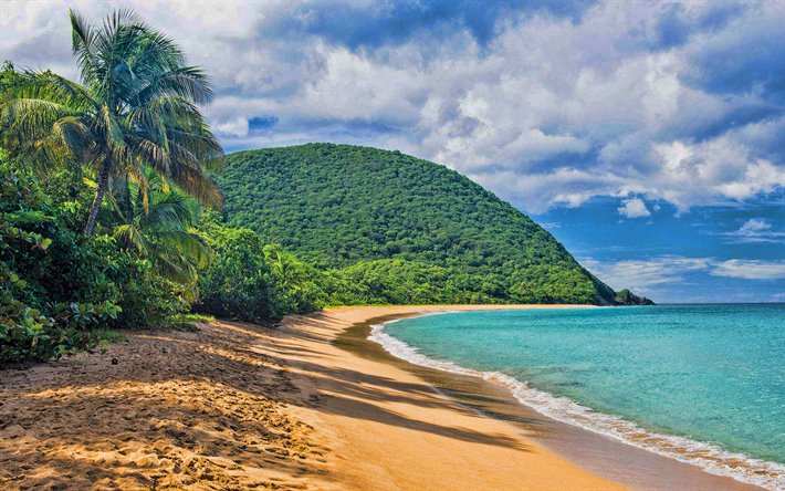 isola tropicale dei Caraibi, palme, laguna azzurra, estate, viaggi, onda, paesaggio marino