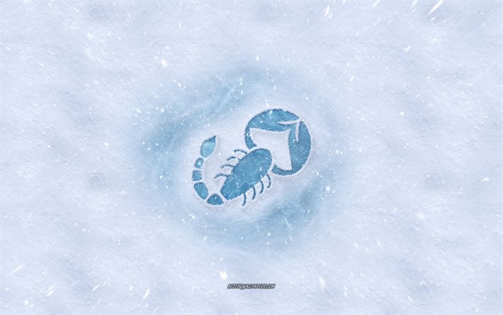 skorpions-tierkreis-zeichen -, winter-konzepte, schnee, beschaffenheit, hintergrund, skorpion, zeichen, winter, kunst
