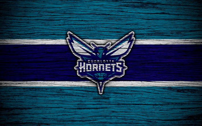 4k, Charlotte Hornets, de la NBA, de madera de textura, de baloncesto, de la Conferencia este, estados UNIDOS, con el emblema del club de baloncesto, Charlotte Hornets logotipo