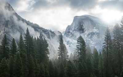 Yosemite National Park, 4k, mountains, fog, forest, Yosemite, Sierra Nevada, USA, America