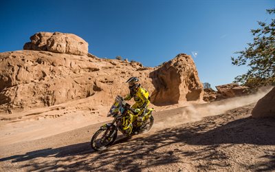 Stefan Svitko, 4k, rally raid, KTM 450 Rally de F&#225;brica, 2018 motos, Rally Dakar, extrema, KTM