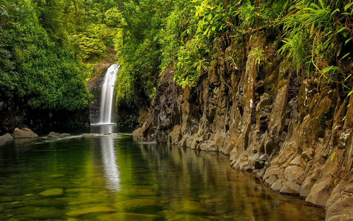 Wainibau Cascata, una bellissima cascata, foresta pluviale, giungla, Isola di Taveuni, Fiji