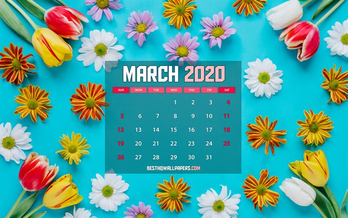 Maaliskuuta 2020 Kalenteri, kev&#228;&#228;n kukat, 2020 kalenteri, 4k, paperi-kortti, kev&#228;&#228;ll&#228; kalenterit, Maaliskuu 2020, luova, sininen taustat, Maaliskuuta 2020 kalenteri, jossa on kukkia, Kalenteri Maaliskuu 2020, kuvitus, 2020 kalente
