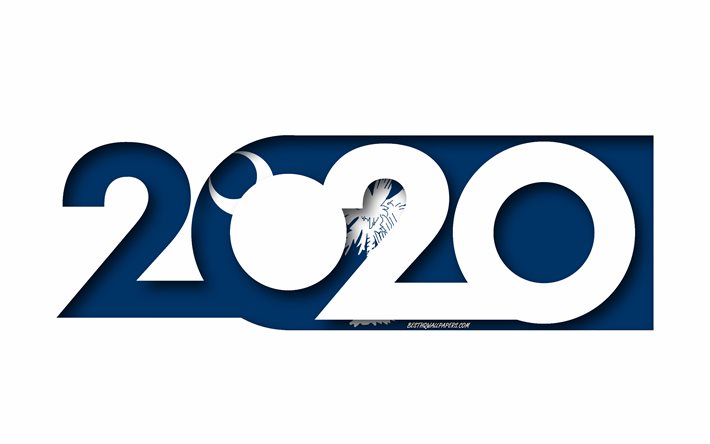 La Caroline du sud en 2020, d&#39;&#233;tat AM&#201;RICAIN, le Drapeau de la Caroline du Sud, fond blanc, Caroline du Sud, art 3d, 2020 concepts, drapeau, drapeau des &#233;tats am&#233;ricains, 2020 Nouvel An, 2020 drapeau de la Caroline du Sud