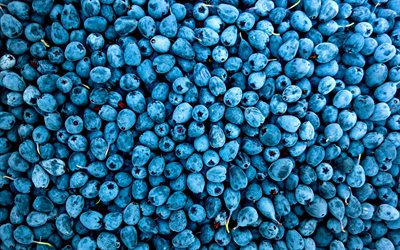 mirtilos, close-up, bagas, texturas, frutas frescas, fundo com mirtilos, planos de fundo azul