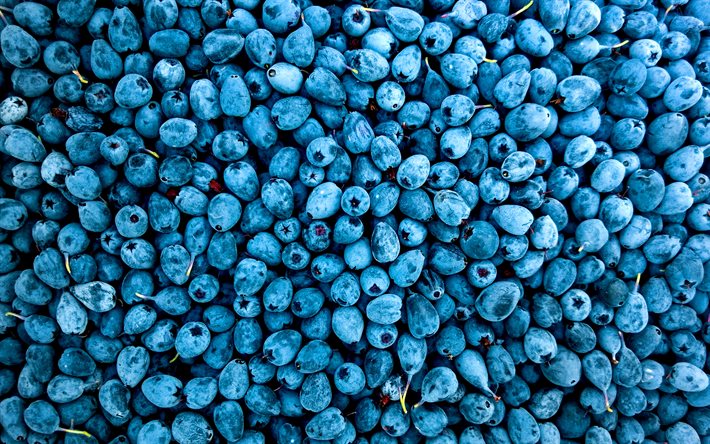 ダウンロード画像 ブルーベリー 近 ベリー 食感の 新鮮な果物 背景とブルーベリー 青色の背景 フリー のピクチャを無料デスクトップの壁紙