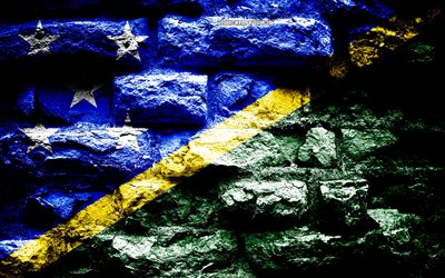 Solomon Islands flag, grunge brick texture, Flag of Solomon Islands, flag on brick wall, Solomon Islands, flags of Oceania countries