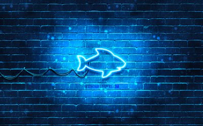 Ic&#244;ne de n&#233;on de requin, 4k, fond bleu, symboles de n&#233;on, requin, cr&#233;atif, ic&#244;nes au n&#233;on, signe de requin, signes d&#39;animaux, ic&#244;ne de requin, ic&#244;nes d&#39;animaux