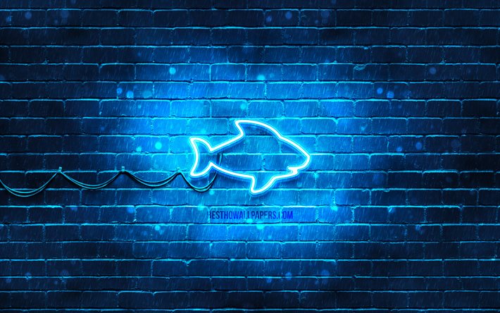 Shark neon icon, 4k, blue background, neon symbols, Shark, creative, neon icons, Shark sign, animals signs, Shark icon, animals icons