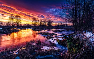 winter, sunset, swamp, bare trees, snowdrifts, beautiful nature, winter landscapes
