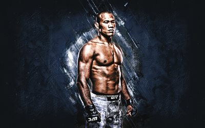 Ronaldo Souza, Jacare, UFC, MMA, Brazilian fighter, portrait, gray stone background, Ultimate Fighting Championship