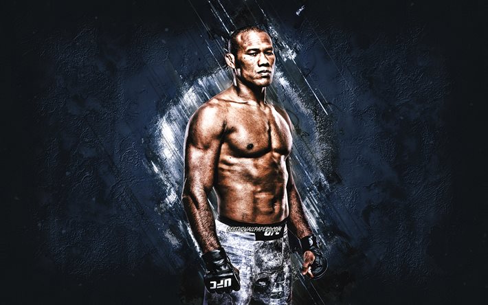 Ronaldo Souza, Jacare, UFC, MMA, combattant br&#233;silien, portrait, fond de pierre grise, Ultimate Fighting Championship