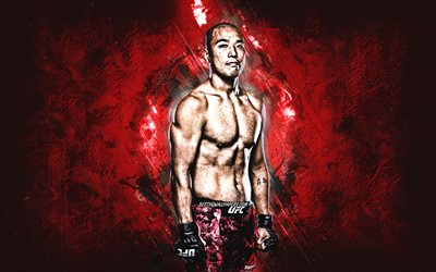 Junyong Park, UFC, MMA, South Korean fighter, portrait, red stone background, Ultimate Fighting Championship