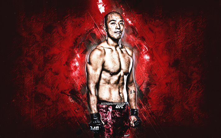 Junyong Park, UFC, MMA, etel&#228;korealainen taistelija, muotokuva, punainen kivitausta, Ultimate Fighting Championship