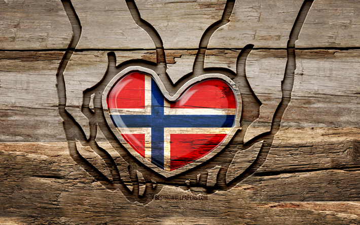 I love Norway, 4K, wooden carving hands, Day of Norway, Flag of Norway, creative, Norway flag, Norwegian flag, Norway flag in hand, Take care Norway, wood carving, Europe, Norway