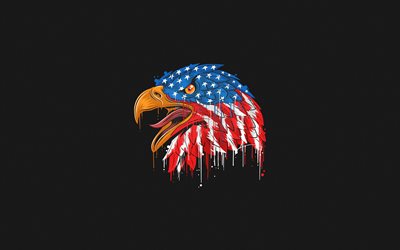 4k, kalju kotka, kuvitus, amerikkalainen symboleja, amerikan lippu, haukka, minimaalinen, luova, symbolit USA, kotka