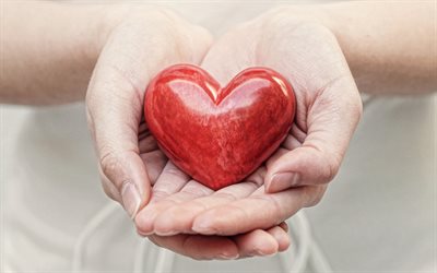 cuore rosso in mano, di amore, di concetti, rosso, cuore, mani femminili, prenditi cura della tua salute, assicurazione sanitaria, cardiologia