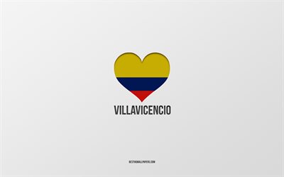 أنا أحب فيلافيسينسيو, المدن الكولومبية, يوم فيلافيسينسيو, خلفية رمادية, فيلافيسينسيو, كولومبيا, قلب العلم الكولومبي, المدن المفضلة, أحب فيلافيسينسيو