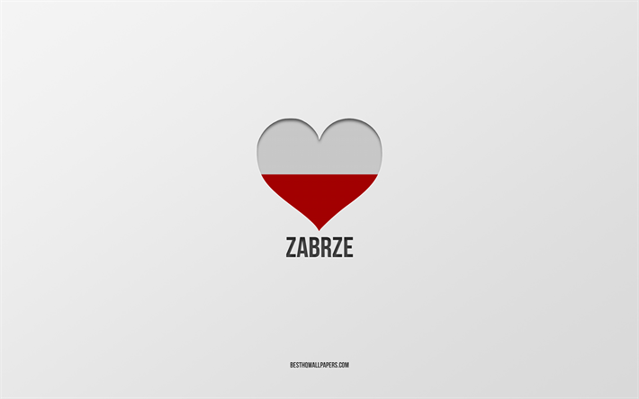 أنا أحب زابرزي, المدن البولندية, يوم زبرزي, خلفية رمادية, زبرزي, بولندا, قلب العلم البولندي, المدن المفضلة, حب زبرزي