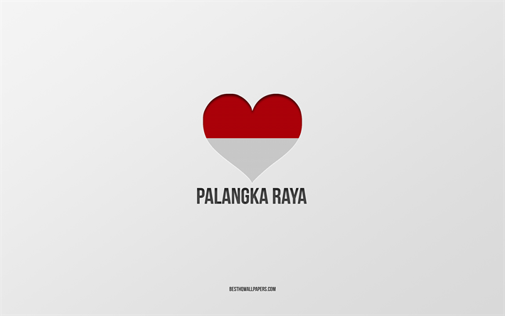 palangka raya yı seviyorum, endonezya şehirleri, palangka raya g&#252;n&#252;, gri arka plan, palangka raya, endonezya, endonezya bayrağı kalbi, favori şehirler