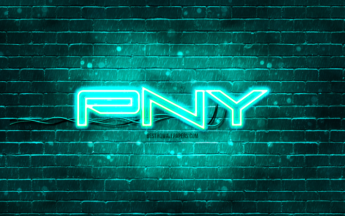logotipo turquesa de pny, 4k, pared de ladrillo turquesa, logotipo de pny, marcas, logotipo de ne&#243;n de pny, pny