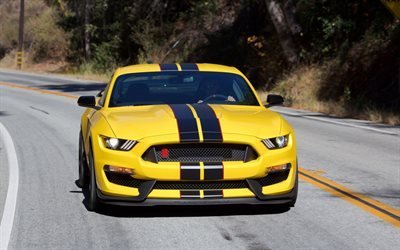 Ford Mustang, Shelby GT350, yellow Mustang, American cars, sports cars, Ford