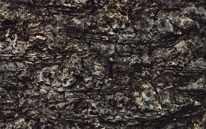 la corteccia dell&#39;albero, 4k, vecchio, albero, di legno, texture, close-up