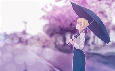 Fate Stay Night, Saber, Japanese visual novel, characters, female characters, art