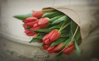tulipas vermelhas, buqu&#234; de flores, estilo retro, flores da primavera, tulipas