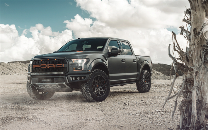 Ford F-150 Raptor, 2018, AG MC, tuning F-150, American pickup, exterior, desert, new American cars, Ford