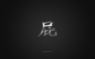 Snabb Japansk karakt&#228;r, metall karakt&#228;r, Snabb Kanji-Symbolen, svart carbon textur, Japansk Symbol f&#246;r Snabbt, Japansk hieroglyfer, Snabbt, Kanji, Snabb hieroglyf